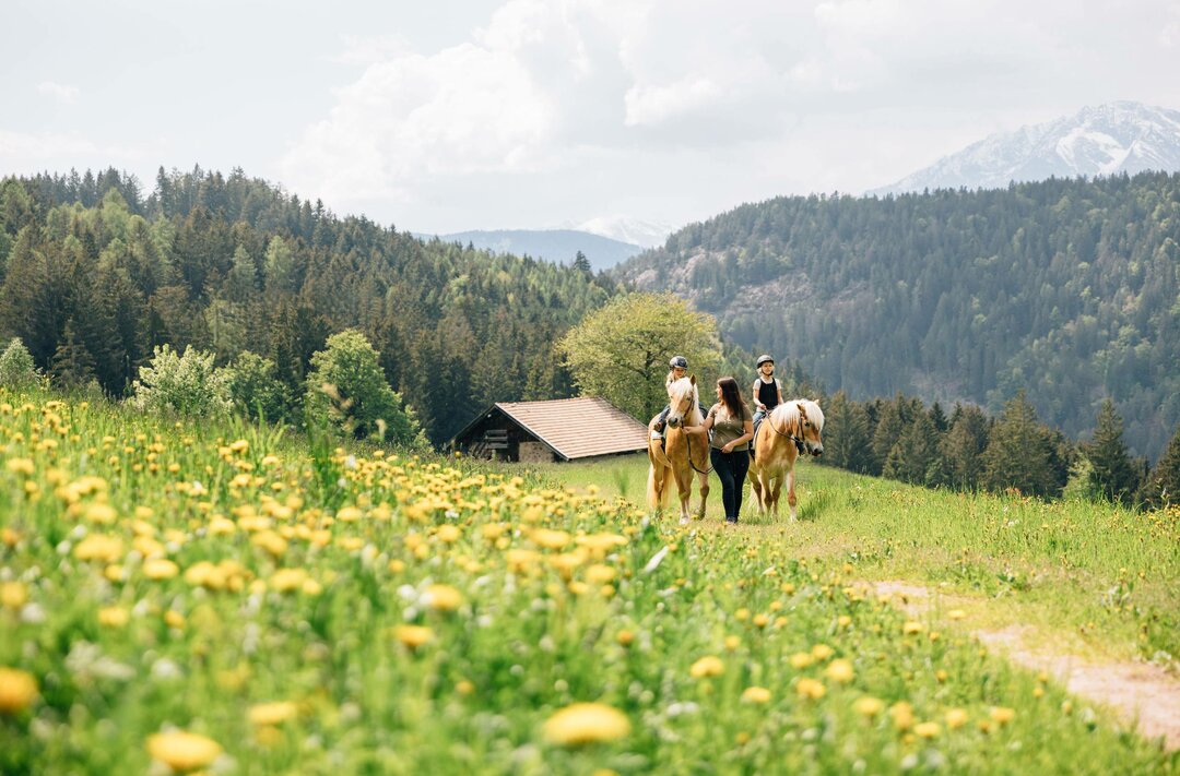 Aktivurlaub Meran und Umgebung, Wellnesshotel Viktoria