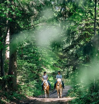Aktivurlaub Meran und Umgebung, Wellnesshotel Viktoria Aktivurlaub Meran und Umgebung, Wellnesshotel Viktoria