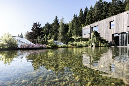 Hotel with pool, Avelengo & natural swimming pond