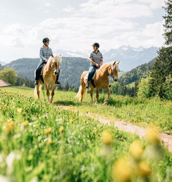 Aktivurlaub Meran und Umgebung, Wellnesshotel Viktoria