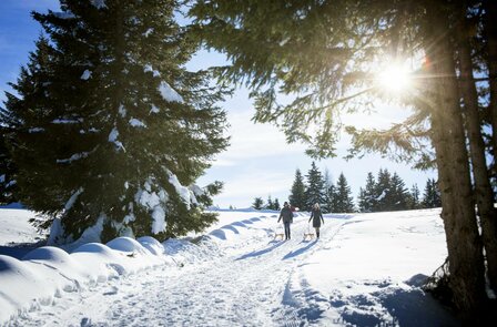 Skiurlaub Meran 2000 - Winterurlaub im Skihotel Südtirol