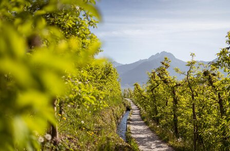 Wanderhotel Südtirol, 4-Sterne-Superior in Hafling Meran