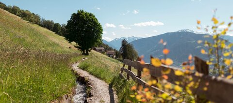 Wanderhotel Südtirol, 4-Sterne-Superior in Hafling Meran