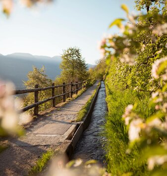 Wanderhotel Südtirol, 4-Sterne-Superior in Hafling Meran